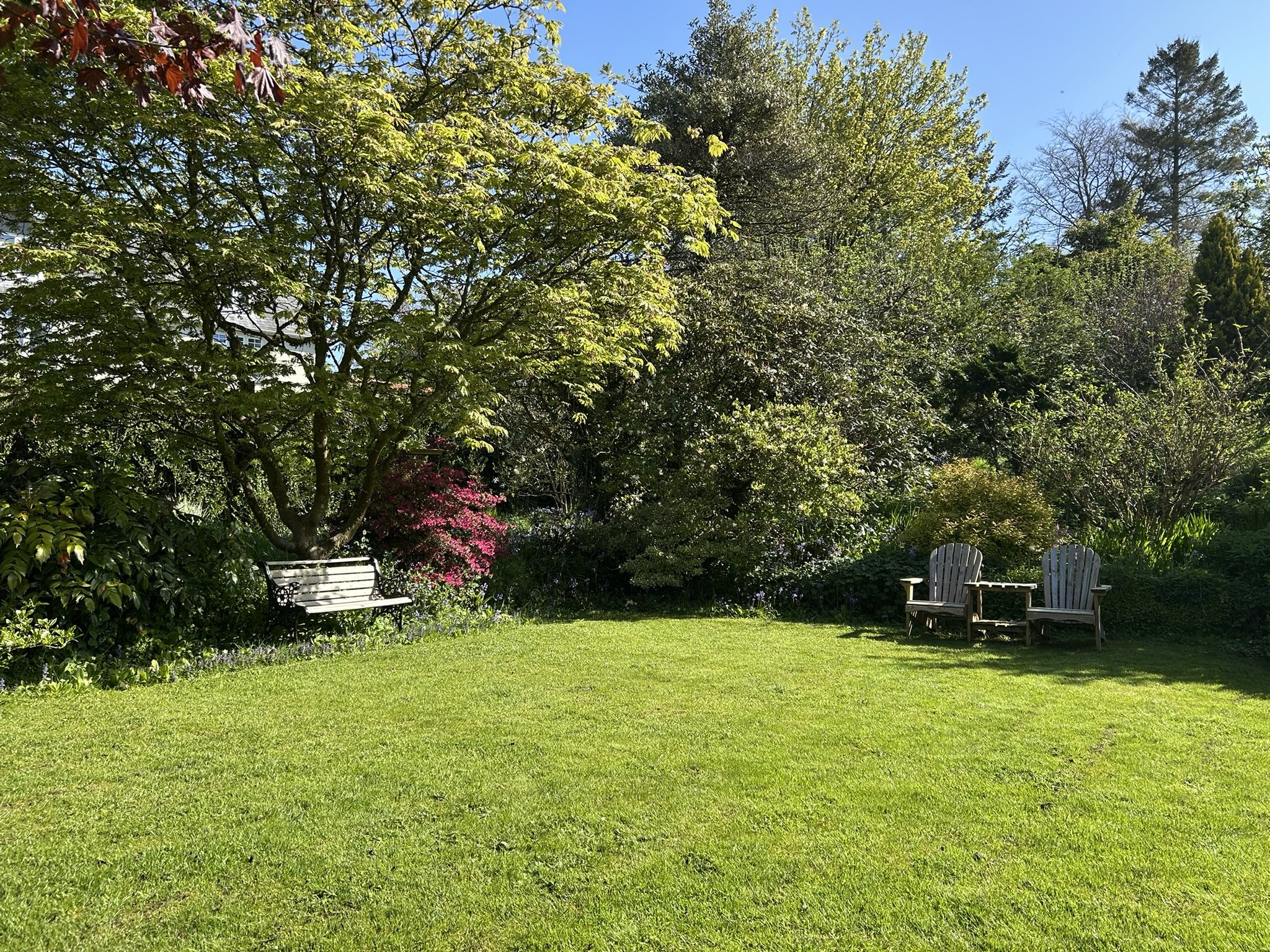 Garden - lawn area