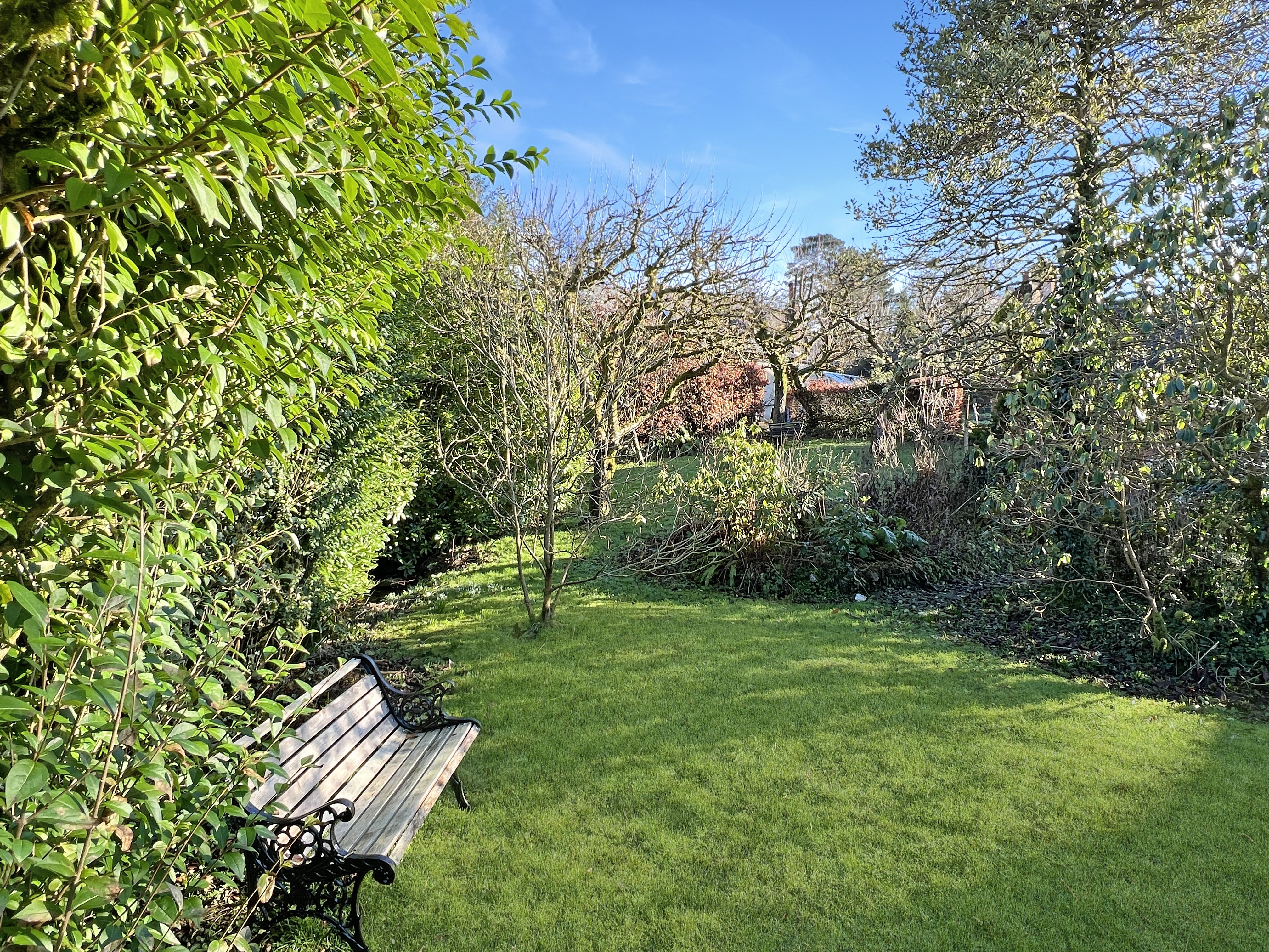 Garden - second lawn area