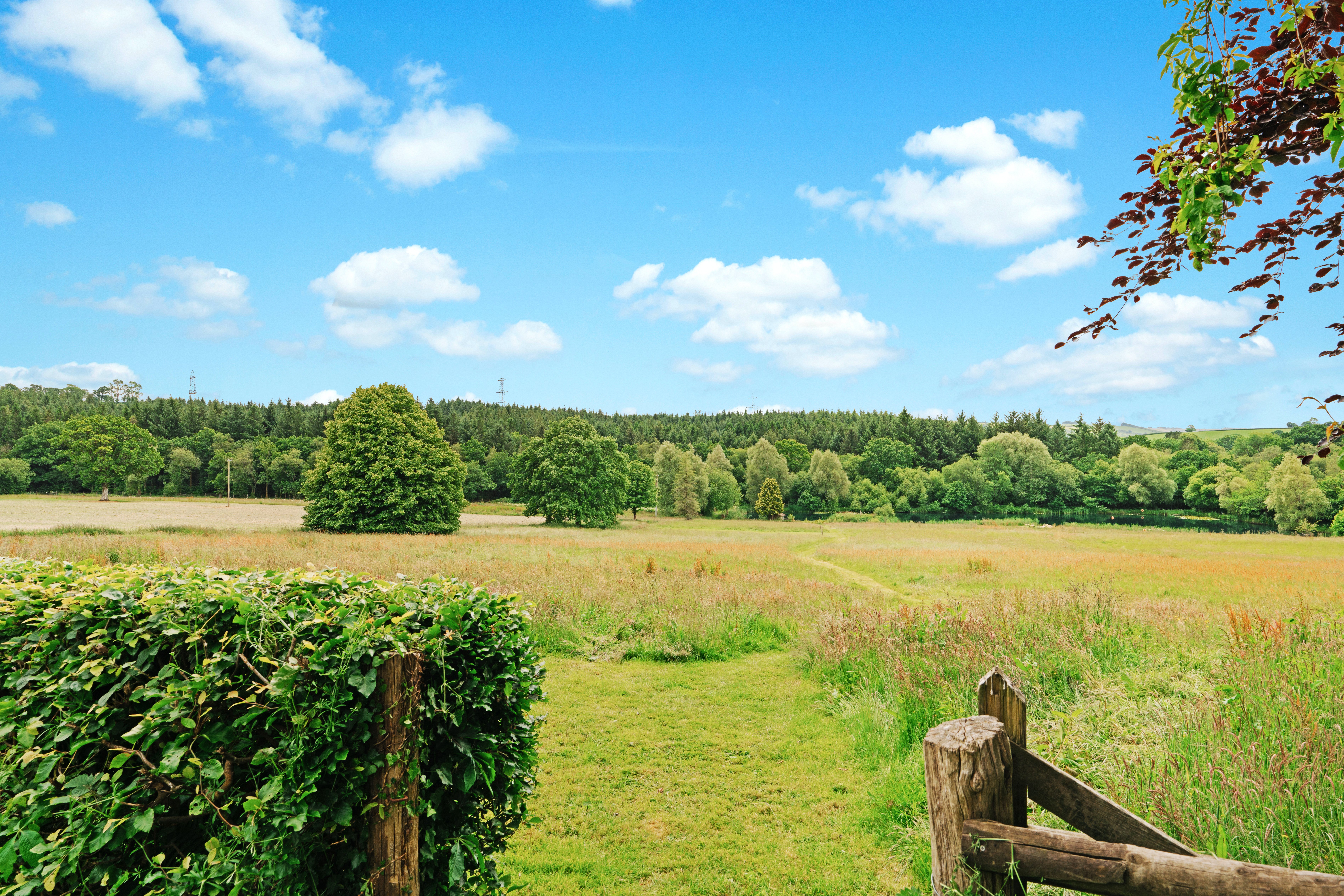 Barton House access to the meadow, lake and explore the farm