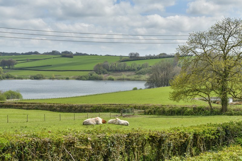 Views from Broomy Barn