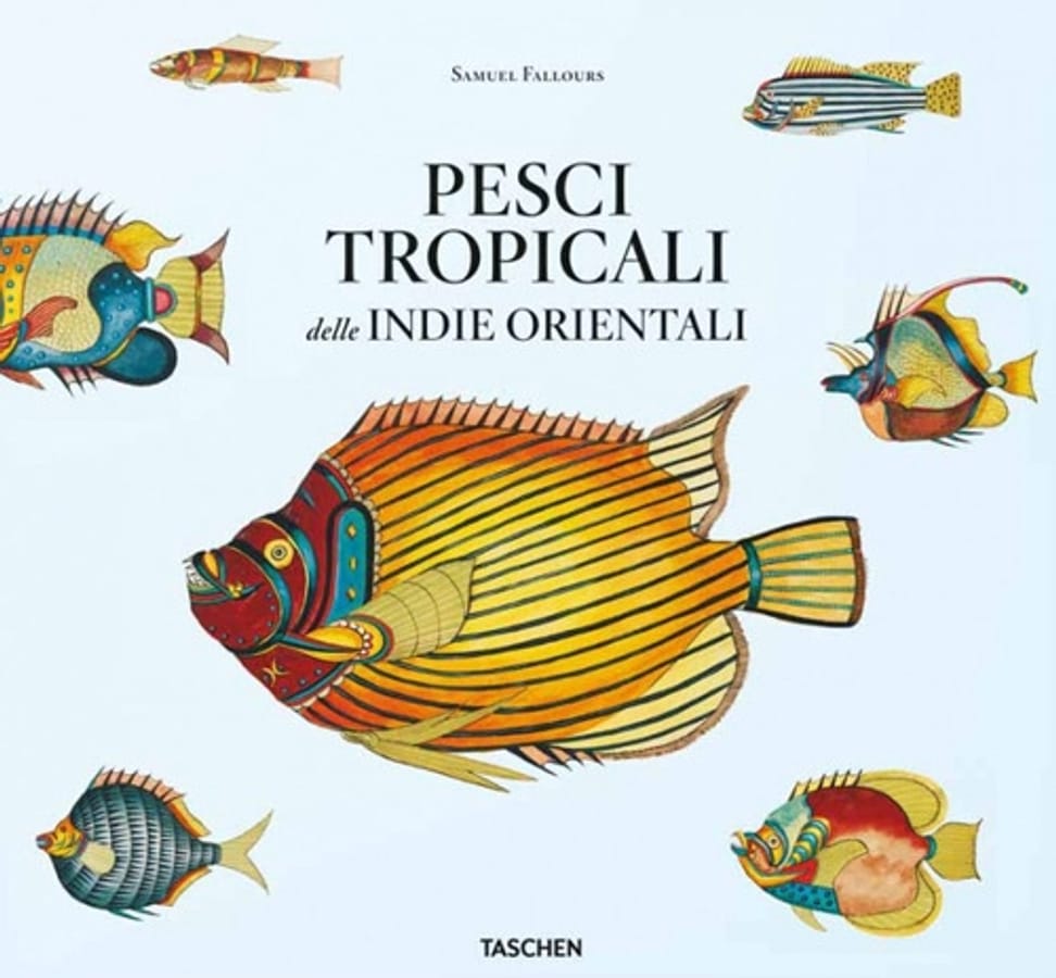 Pesci tropicali delle Indie orientali. Ediz. italiana, spagnola e portoghese di Theodore W. Pietsch