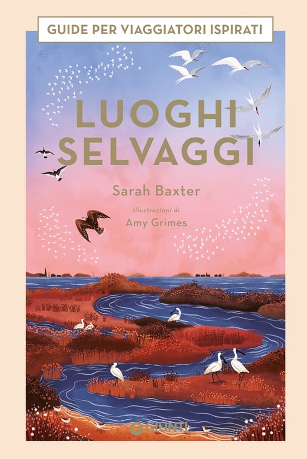 Luoghi selvaggi. Guide per viaggiatori ispirati. Ediz. a colori di Sarah Baxter