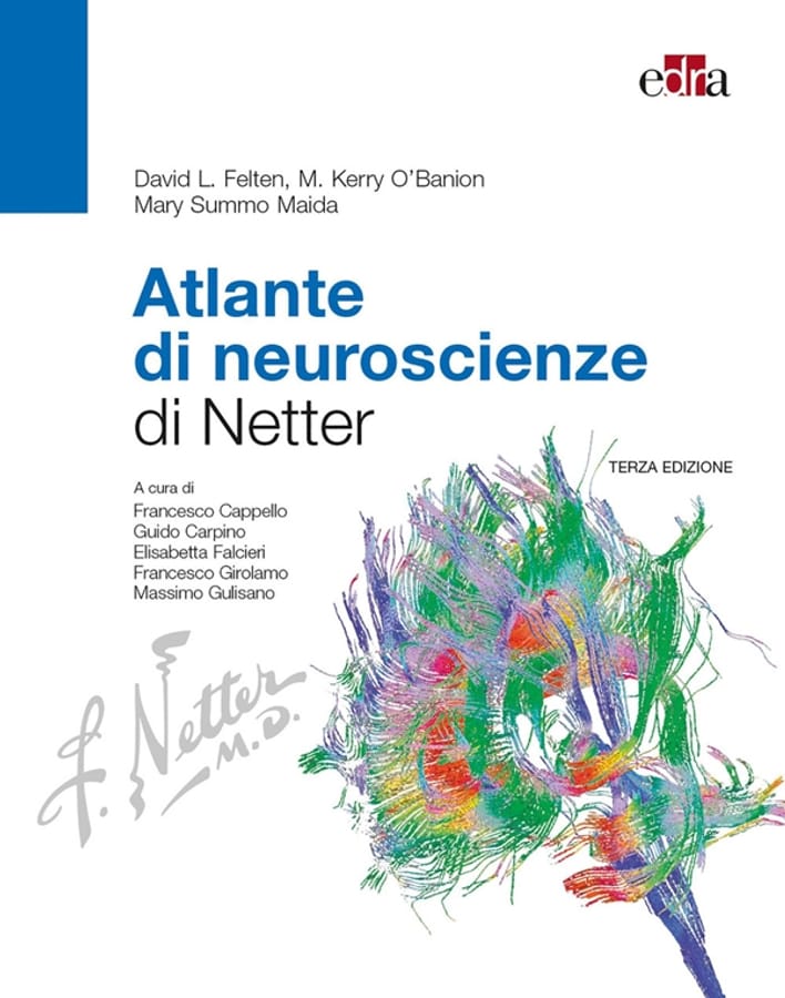 Atlante di neuroscienze di Netter di David L. FeltenM. Kerry O'BanionMary Summo Maida