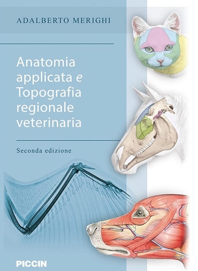 Anatomia applicata e topografia regionale veterinaria di Adalberto Merighi