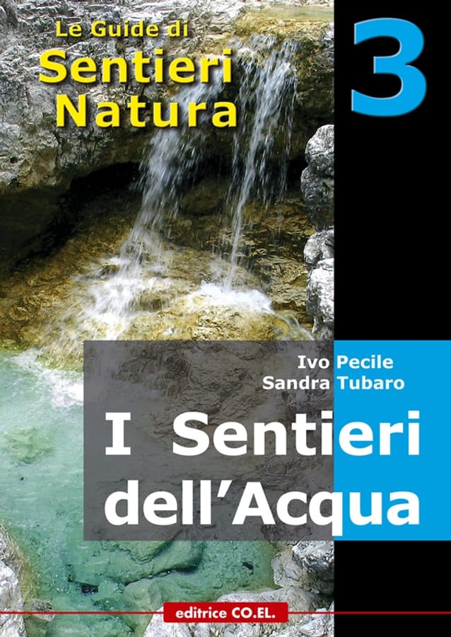 I sentieri dell'acqua. 40 itinerari escursionistici alla scoperta delle acque della montagna friulana di Ivo PecileSandra TubaroFabrizio Desio