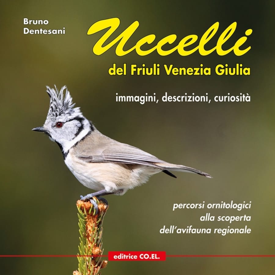 Uccelli del Friuli Venezia Giulia. Immagini, descrizioni, curiosità. Percorsi ornitologici alla scoperta dell'avifauna regionale. Ediz. illustrata. Vol. 1 di Bruno Dentesani