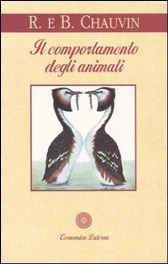 Il comportamento degli animali di Rémy ChauvinBernadette Chauvin Muckensturm