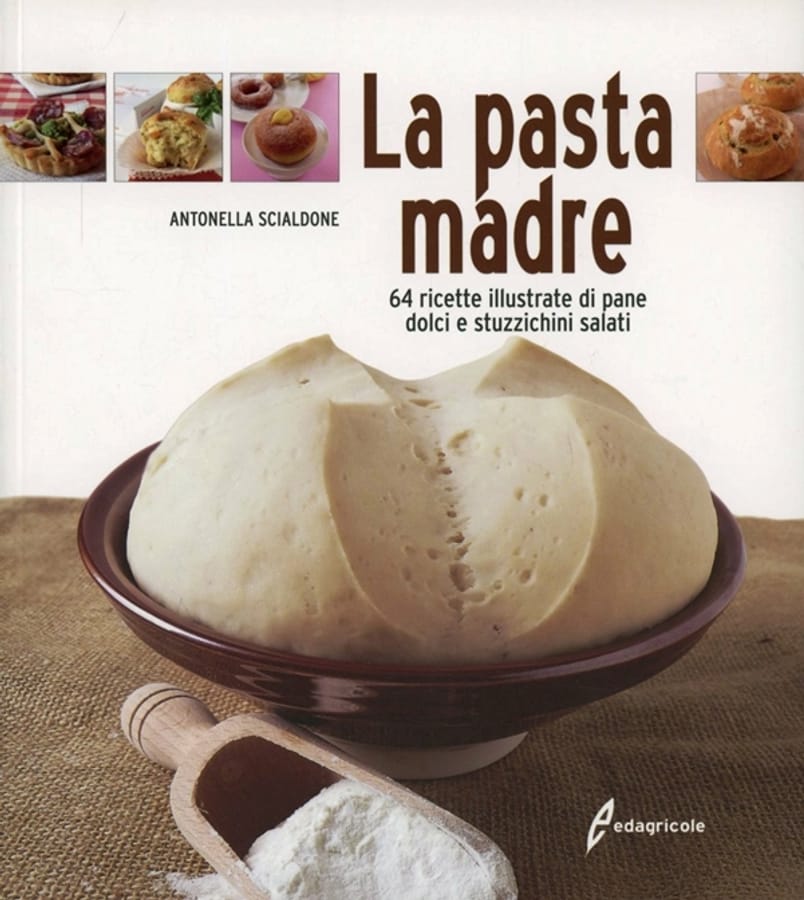 La pasta madre. 64 ricette illustrate di pane, dolci e stuzzichini salati di Antonella Scialdone