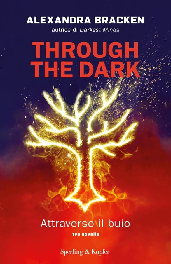 Through the dark. Attraverso il buio di Alexandra Bracken