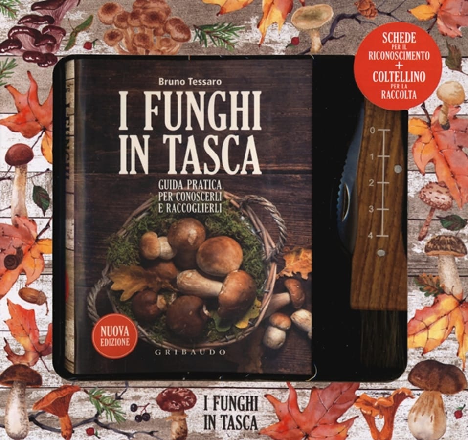 I funghi in tasca. Guida pratica per conoscerli e raccoglierli. Nuova ediz. Con gadget di Bruno Tessaro