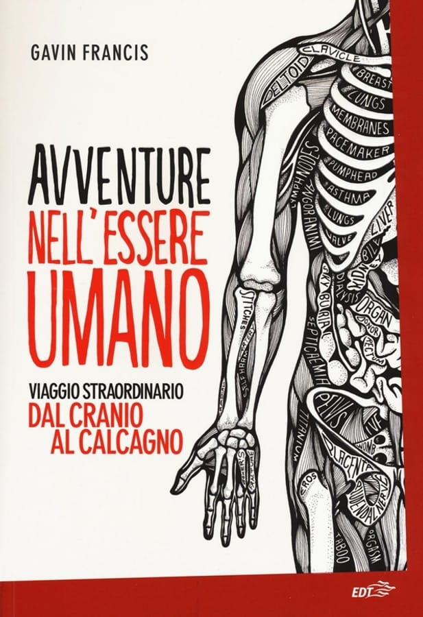 Avventure nell'essere umano. Viaggio straordinario dal cranio al calcagno di Gavin Francis