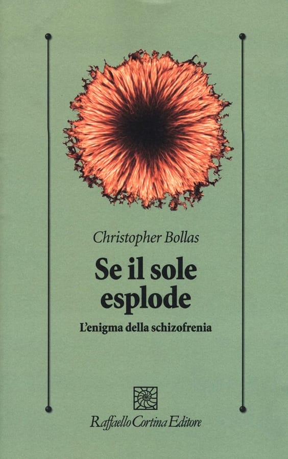 Se il sole esplode. L'enigma della schizofrenia di Christopher Bollas