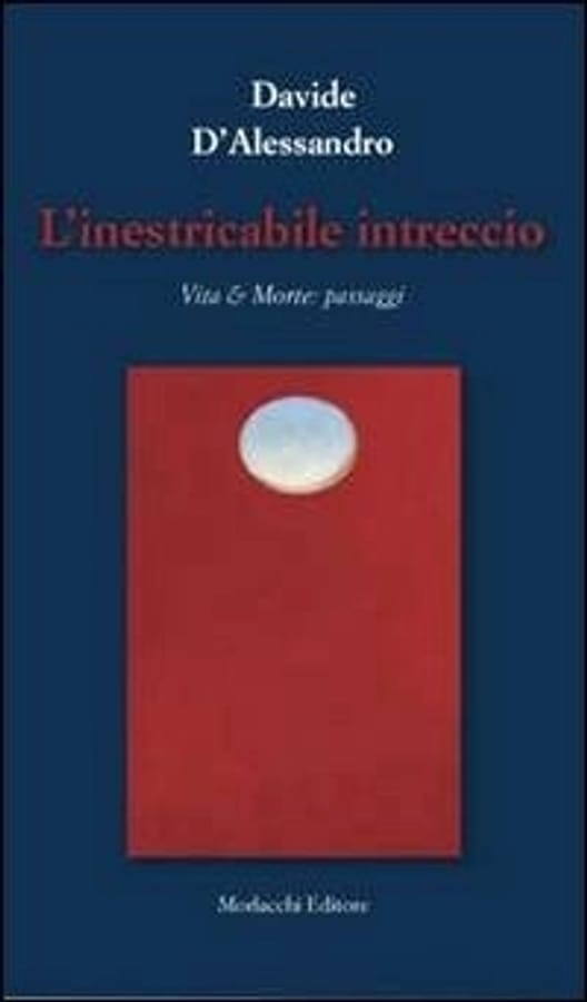 L' inestricabile intreccio. Vita & morte. Passaggi di Davide D'Alessandro