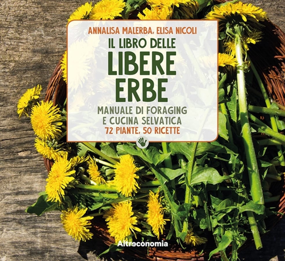 Il libro delle libere erbe. Manuale di foraging e cucina selvatica. 72 piante, 50 ricette di Elisa NicoliAnnalisa Malerba
