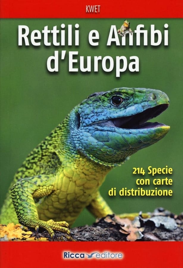 Rettili e anfibi d'Europa di Axel Kwet