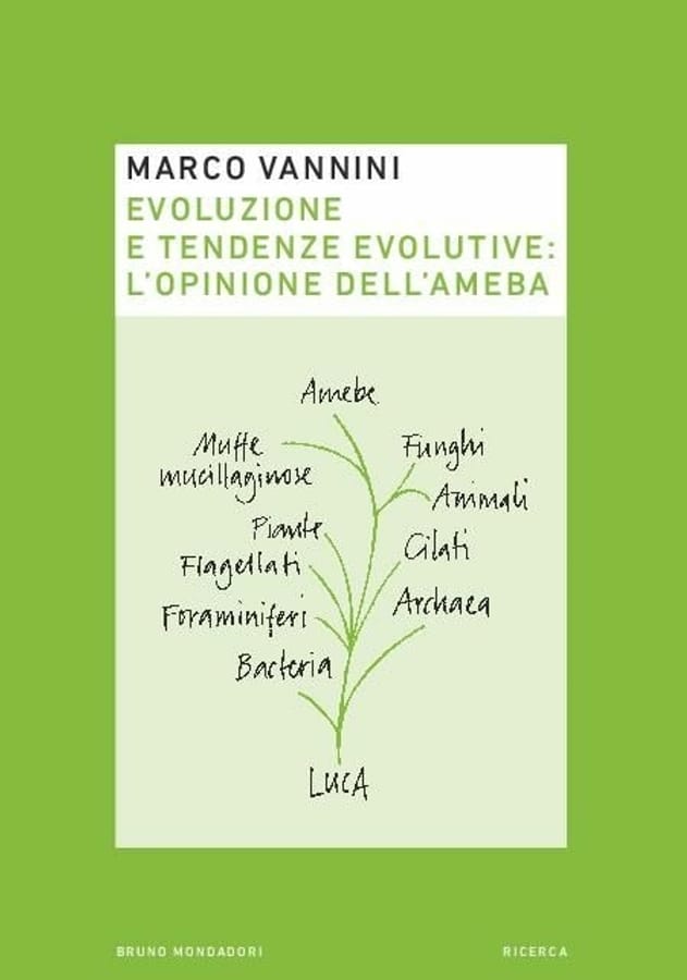 Evoluzione e tendenze evolutive: l'opinione dell'ameba di Marco Vannini