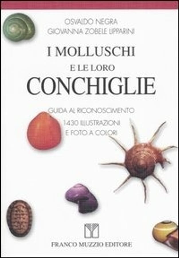I molluschi e le loro conchiglie. Guida al riconoscimento di Osvaldo NegraGiovanna Zobele Lipparini