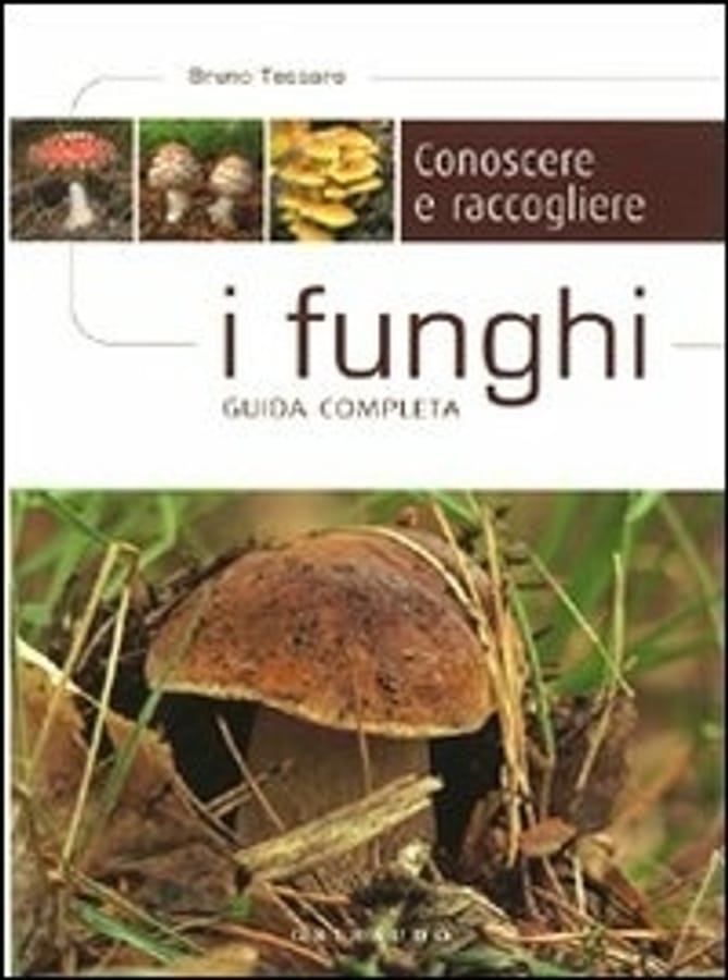 Conoscere e raccogliere i funghi. Guida completa di Bruno Tessaro