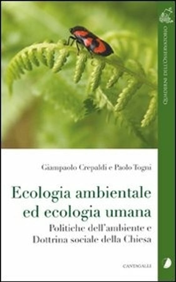 Ecologia ambientale ed ecologia umana. Politiche dell'ambiente e dottrina sociale della Chiesa di Giampaolo CrepaldiPaolo Togni