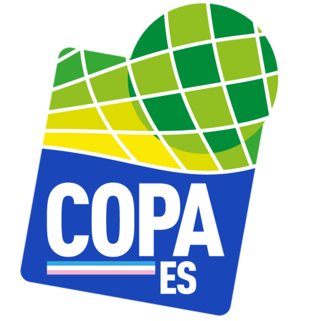 Copa Espirito Santo
