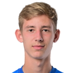 D. Rubanov
