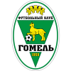 Wfc Gomel Region Women