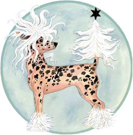 Little Pink Dog Books Publishing Little Pink Dog Books Publishing