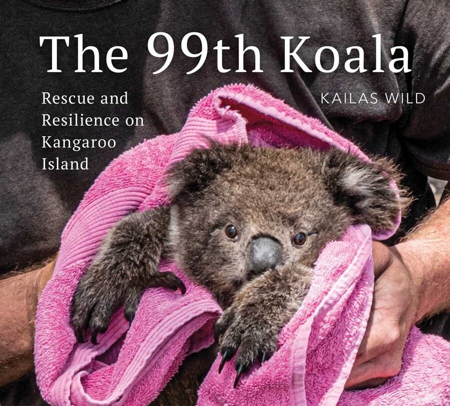 The 99th Koala The 99th Koala