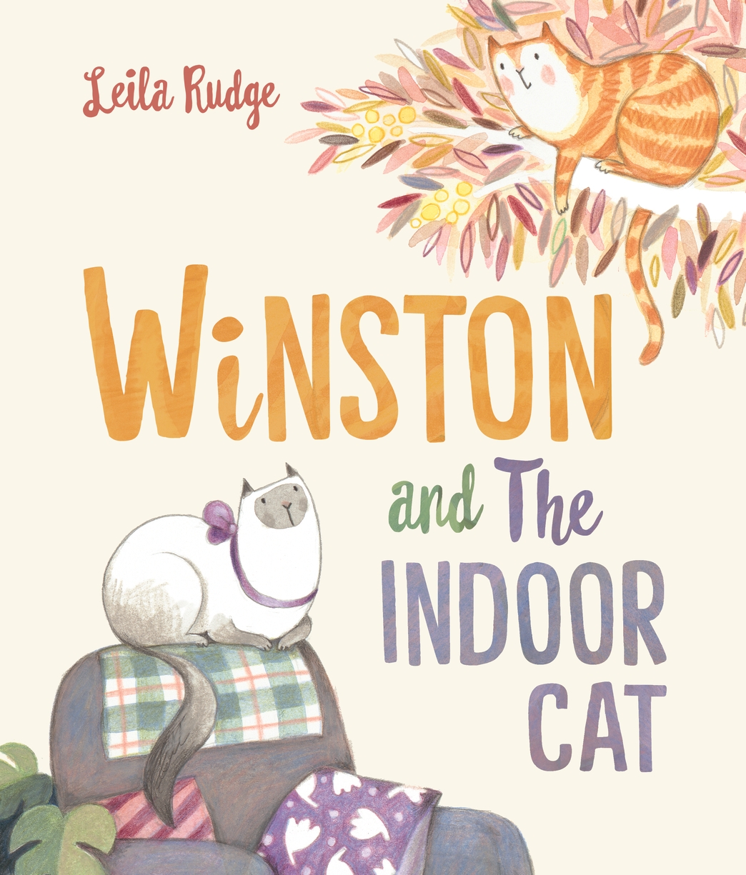 Winston and the Indoor Cat Winston and the Indoor Cat