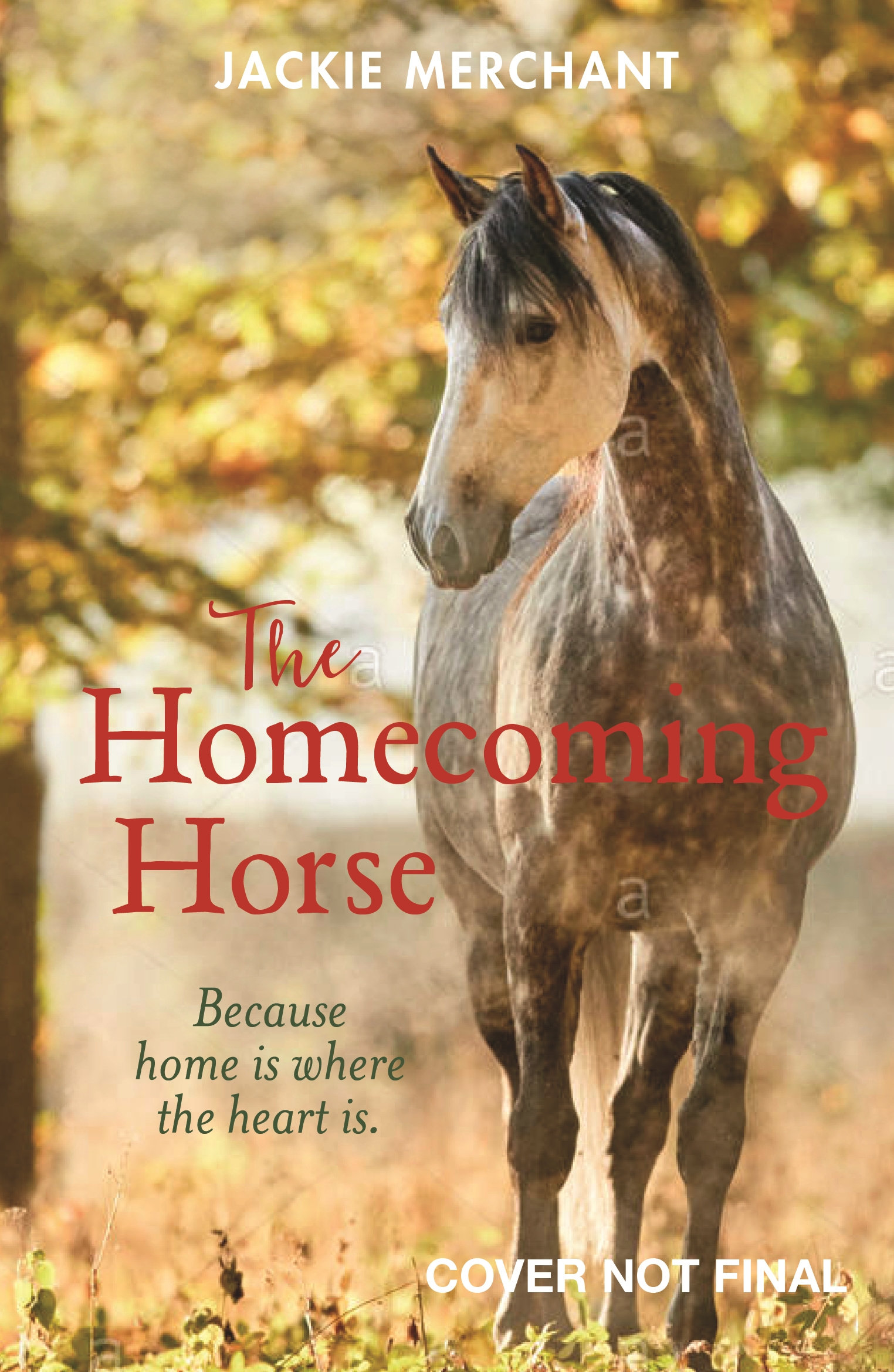 The Homecoming Horse The Homecoming Horse