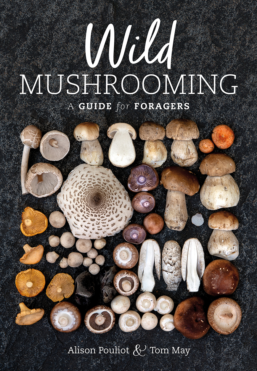 Wild Mushrooming: A Guide for Foragers Wild Mushrooming: A Guide for Foragers