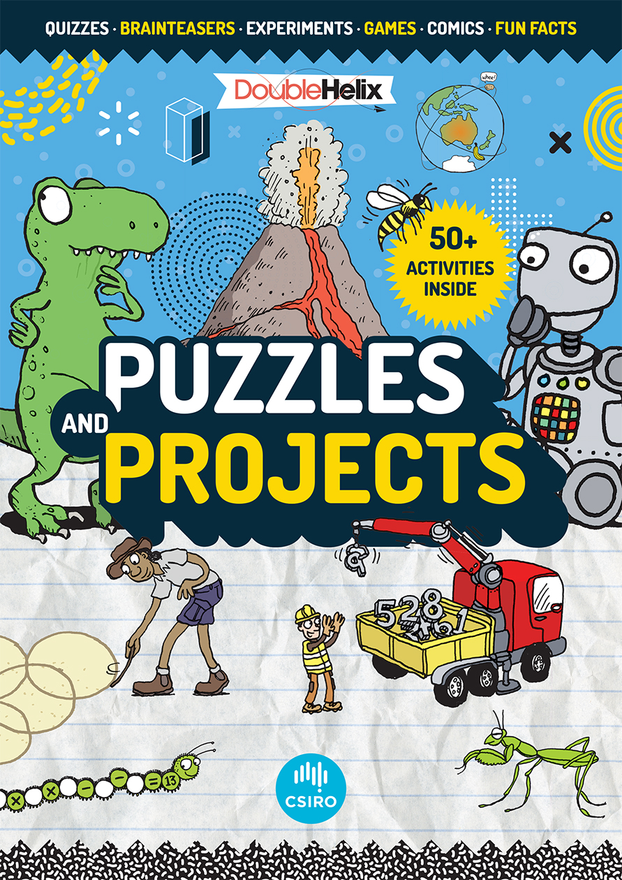 Puzzles and Projects Puzzles and Projects