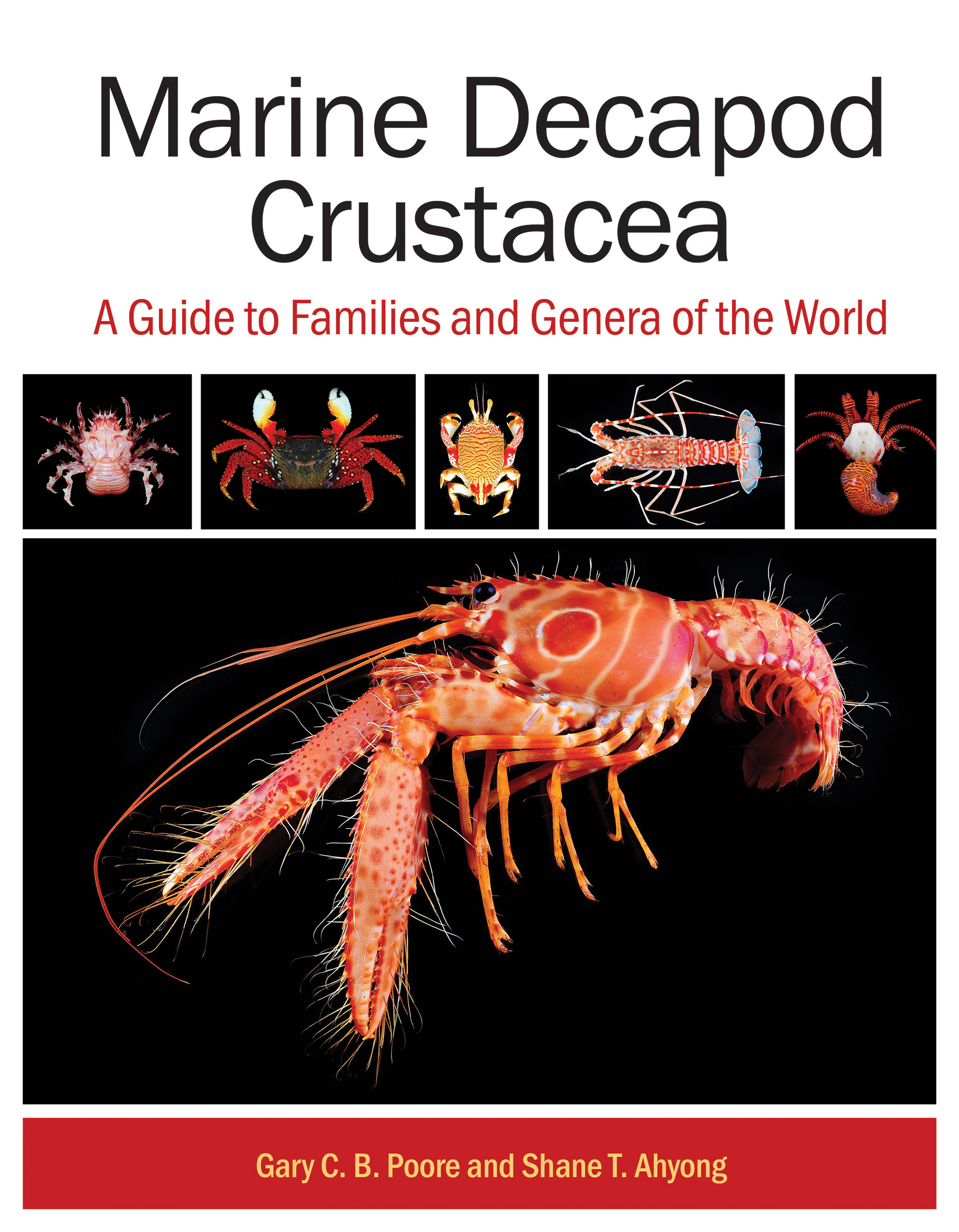 Marine Decapod Crustacea: A Guide to Families and Genera of the World Marine Decapod Crustacea: A Guide to Families and Genera of the World