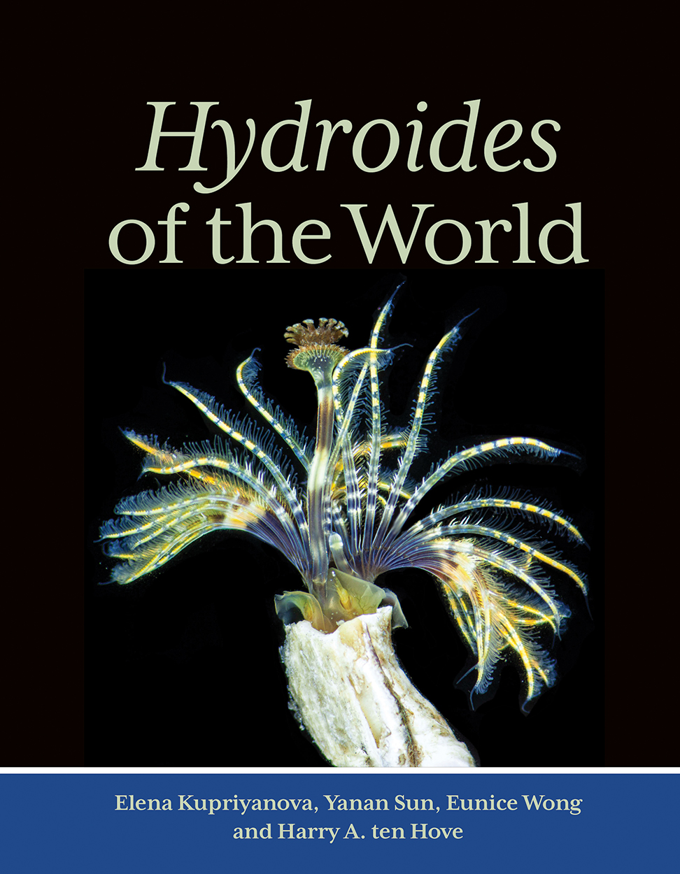 Hydroides of the World Hydroides of the World
