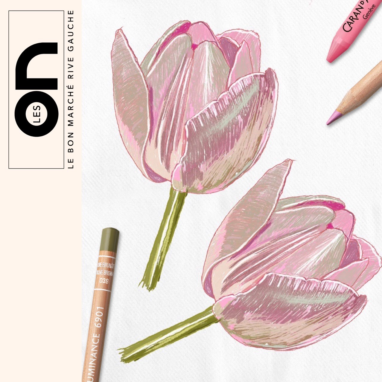 Caran d'Ache : Dessiner une tulipe