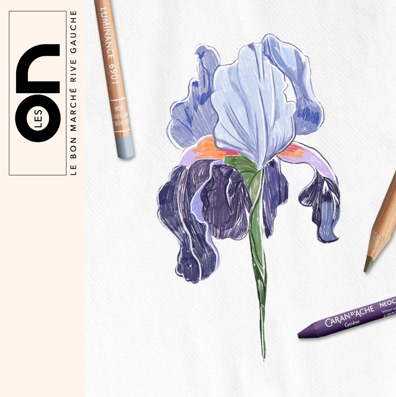 Caran d'Ache : Dessiner une iris