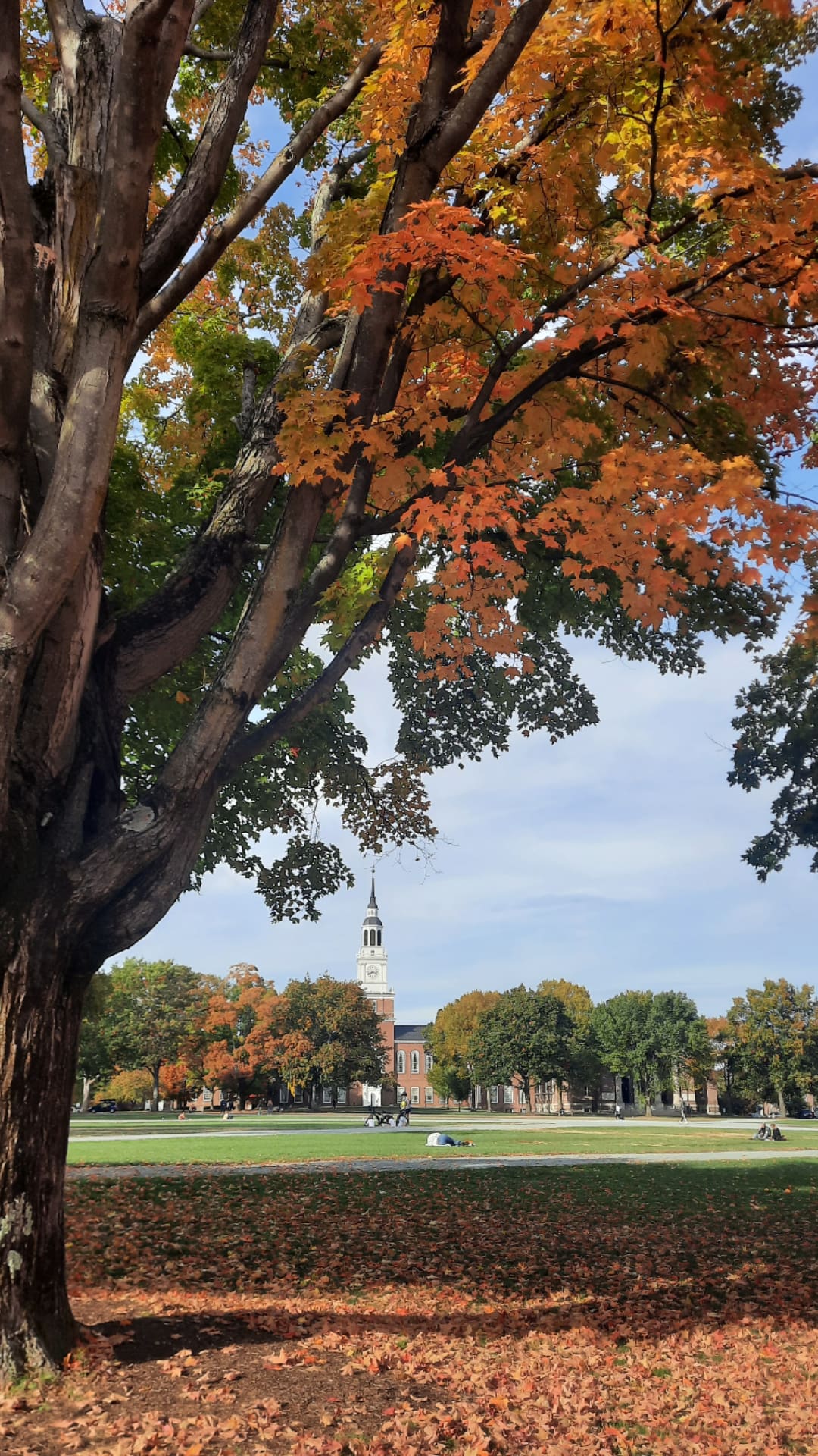 Dartmouth is gorgeous all seasons!