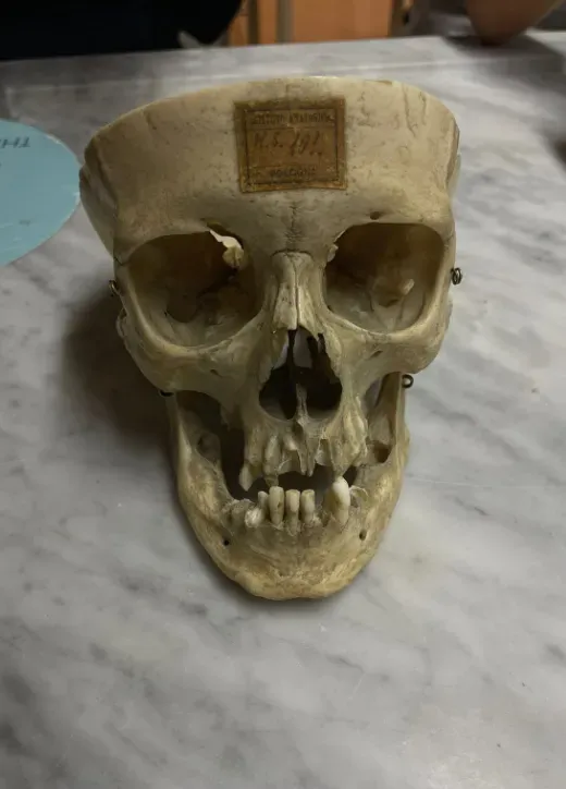 Estudiando en grupo en el laboratorio