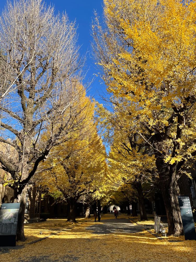 Campus during fall🍂