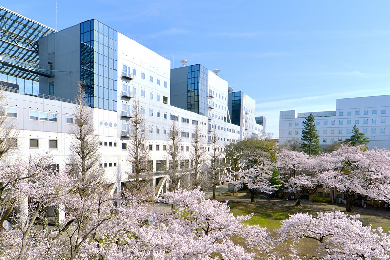 Tokyo University Campus