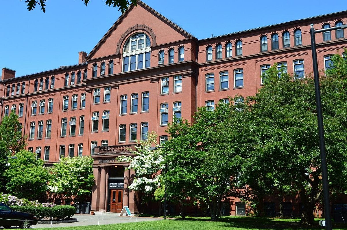 The Harvard Museum of Natural History 