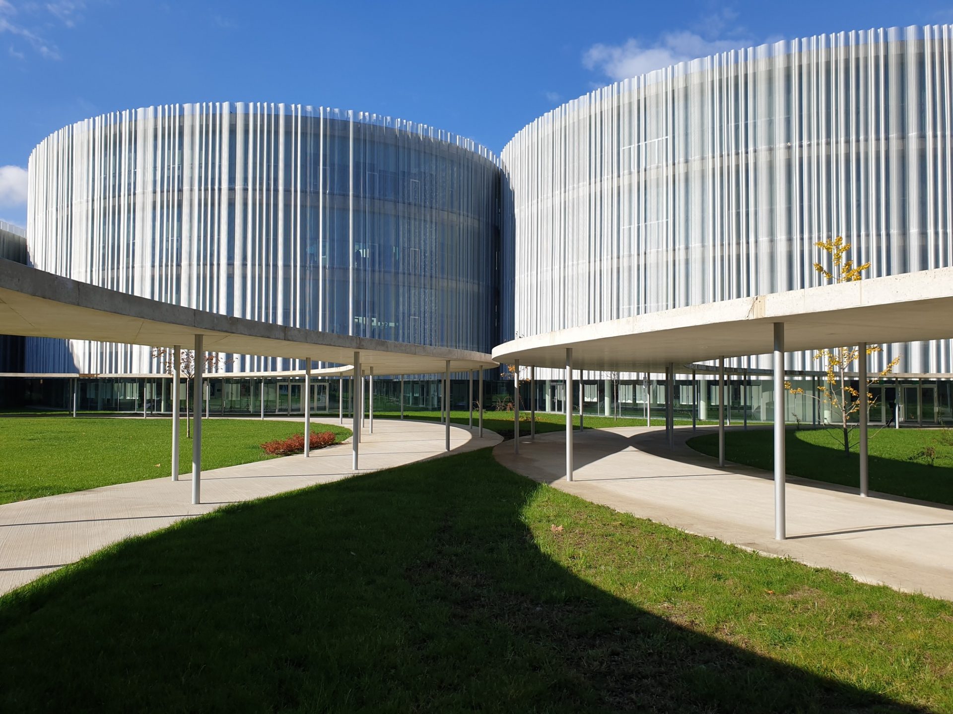 Bocconi Campus