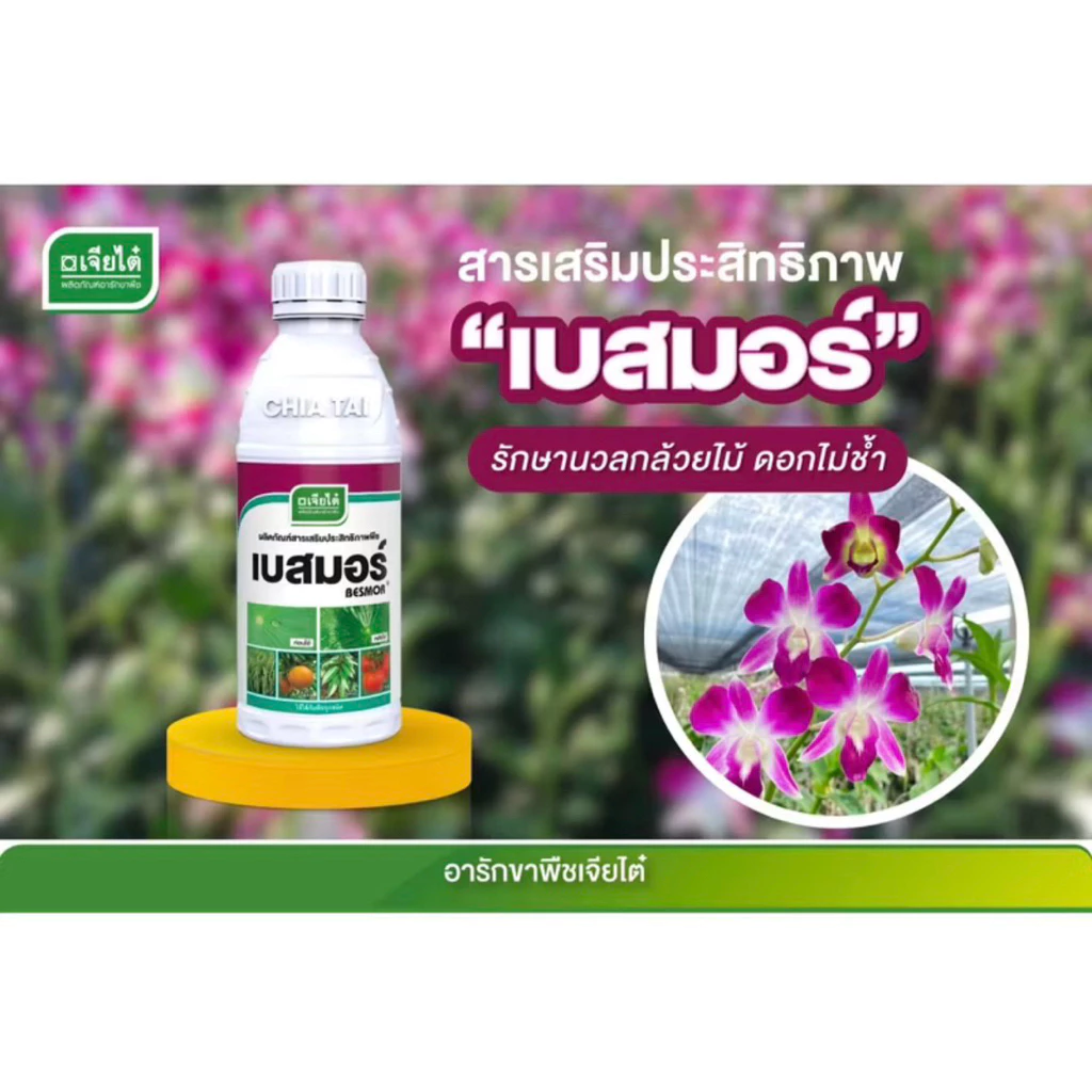 สินค้า 2