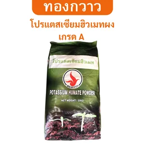 สินค้า 2