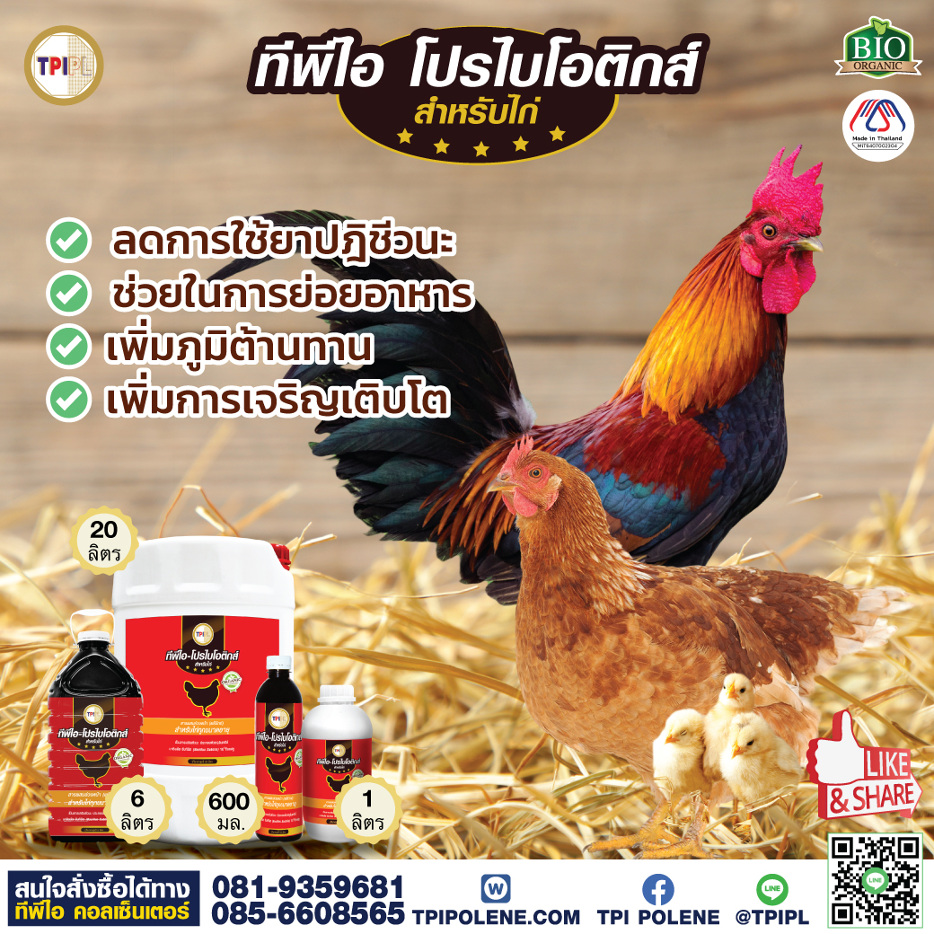 สินค้า 2