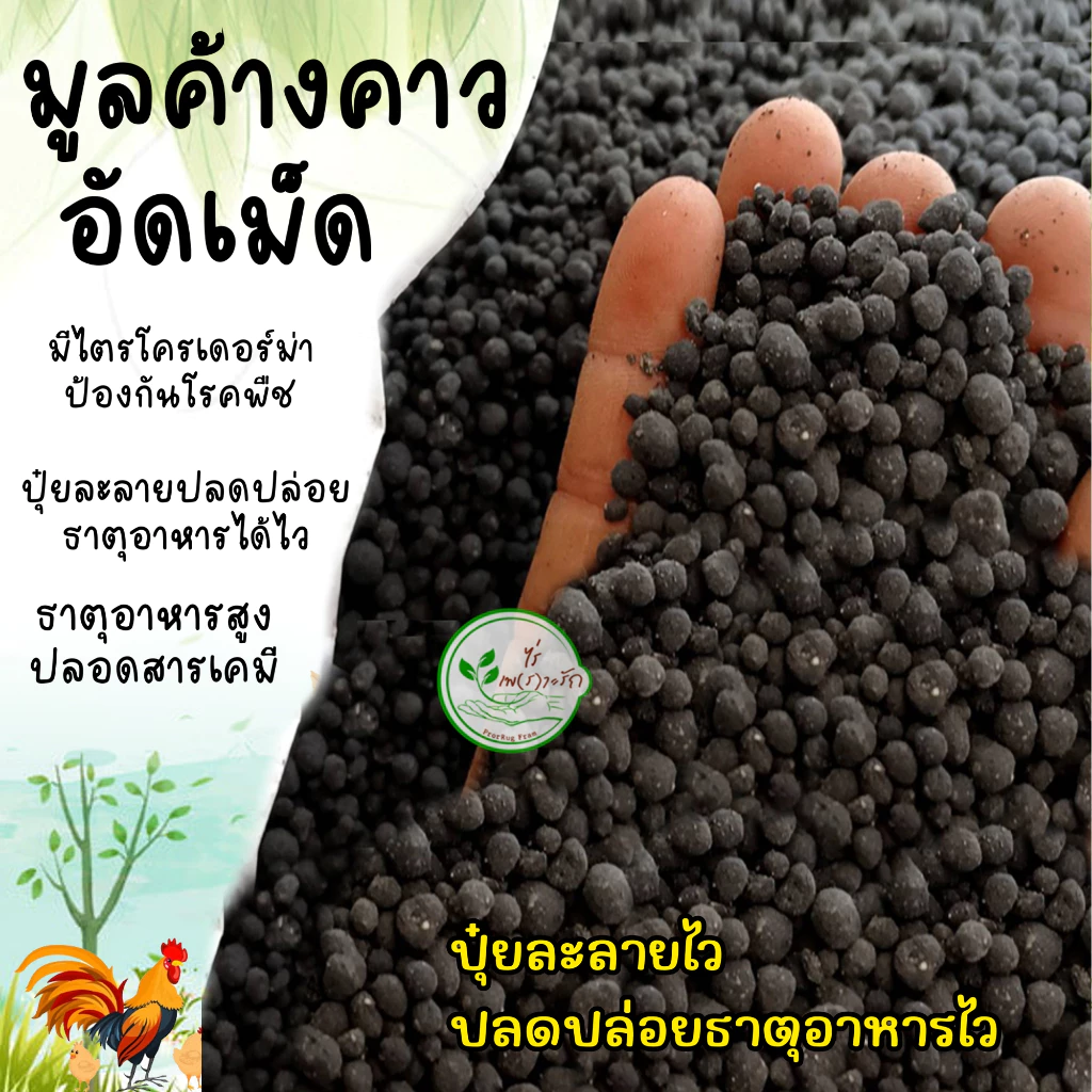 สินค้า 2