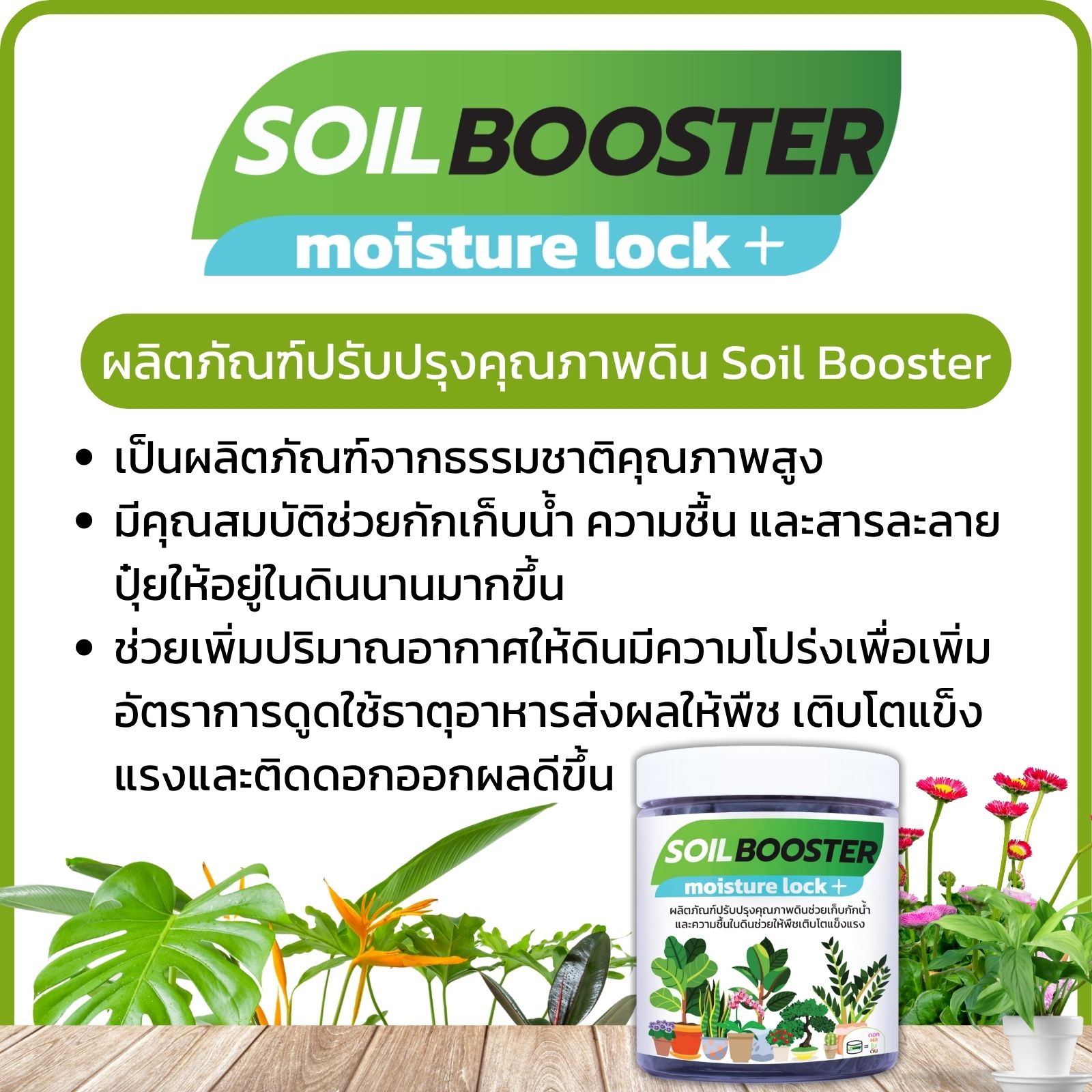 สินค้า 5