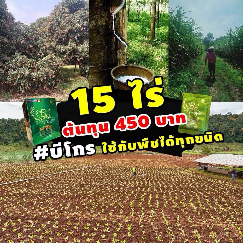 สินค้า 4