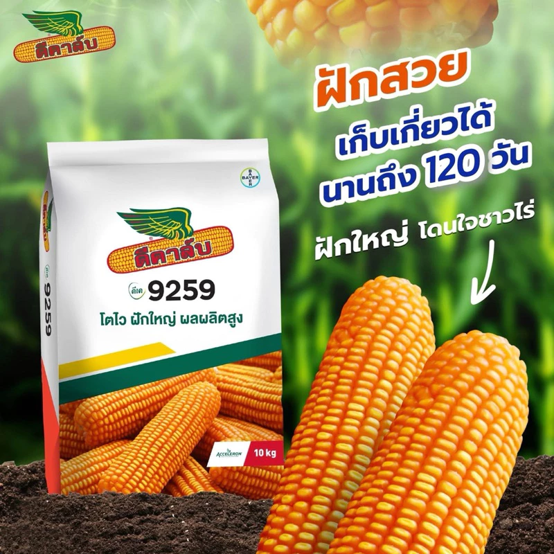 สินค้า 3