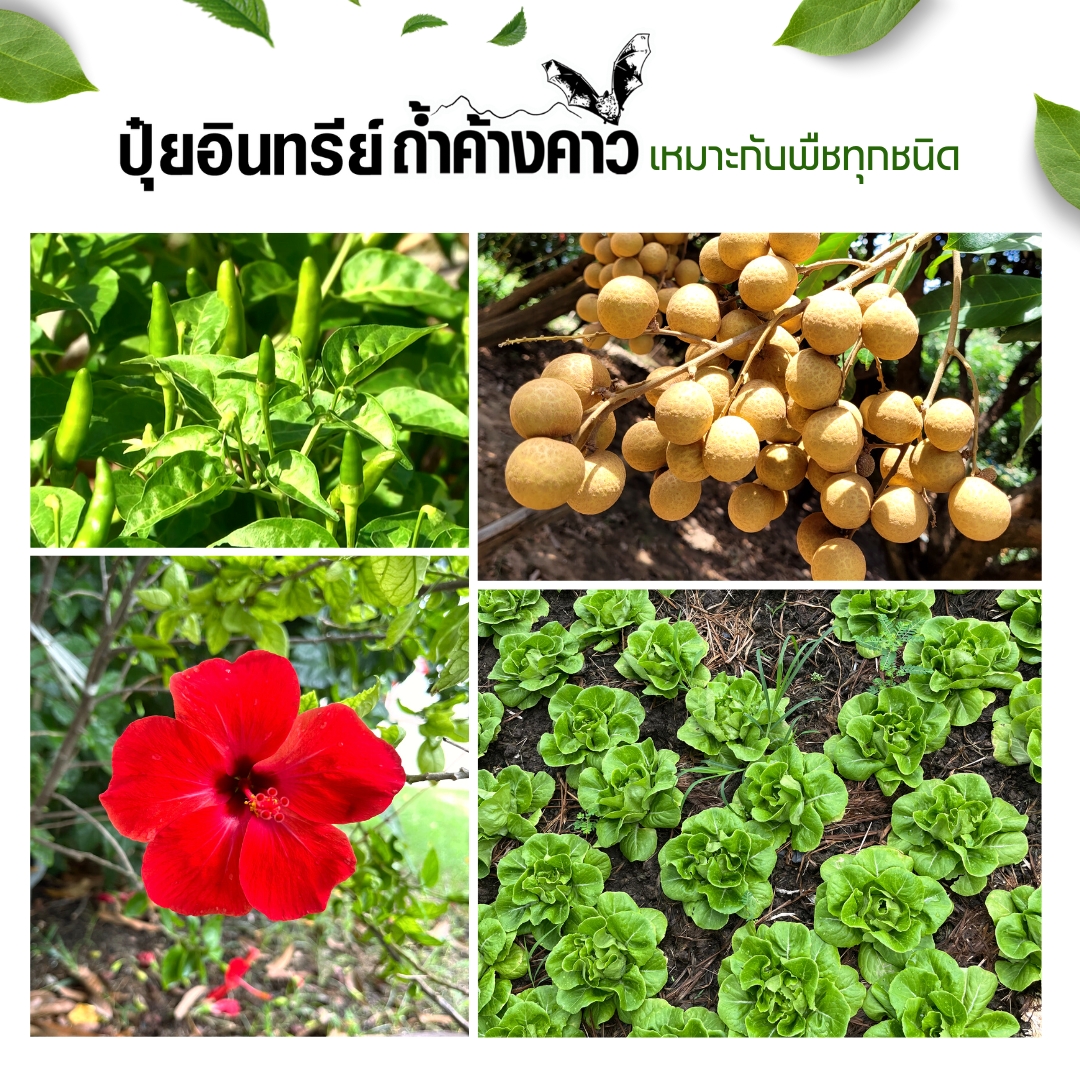 สินค้า 5